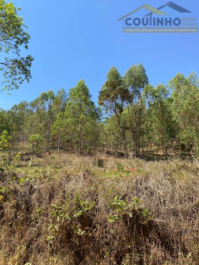 WhatsApp Image 2025-09-12 at 11.33.23 (3).jpeg